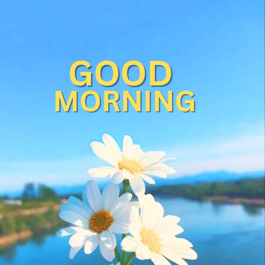 3d Good Morning New HD Download Photo