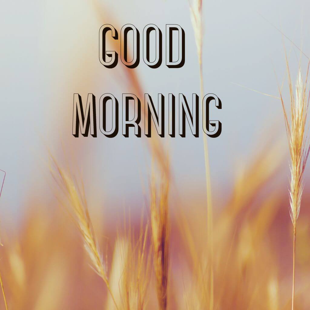 3d good morning Photo New Download 2023