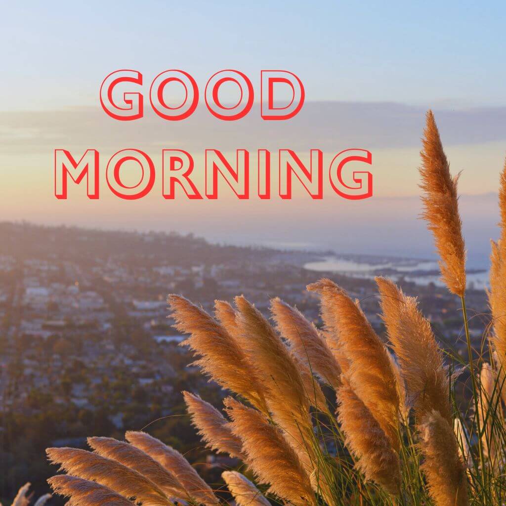 3d good morning Wallpaper Pics New Download 2023