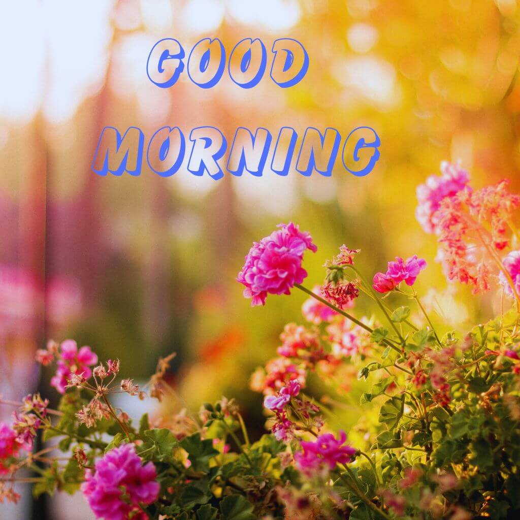 3d good morning pics Wallpaper With Flower