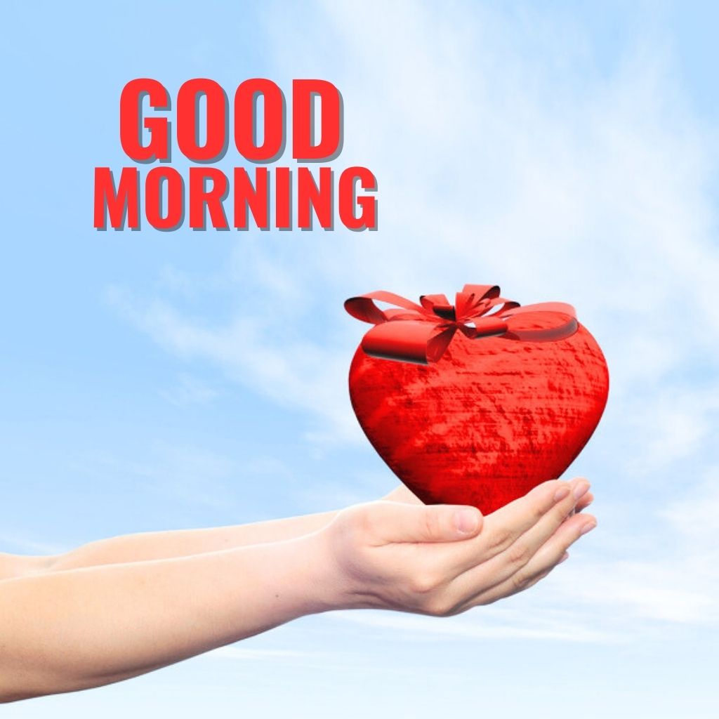 492+ Good Morning Romantic Photo New Download