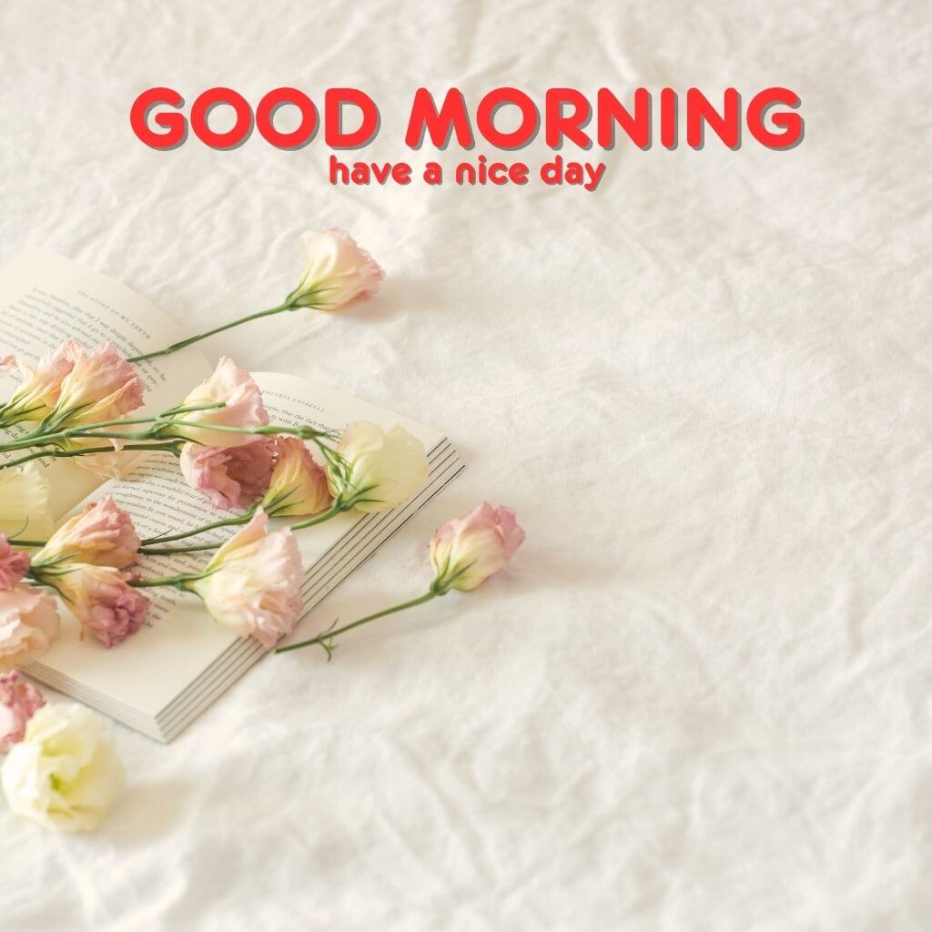 Beautiful New good morning Images Wallpaper 2023 Download 