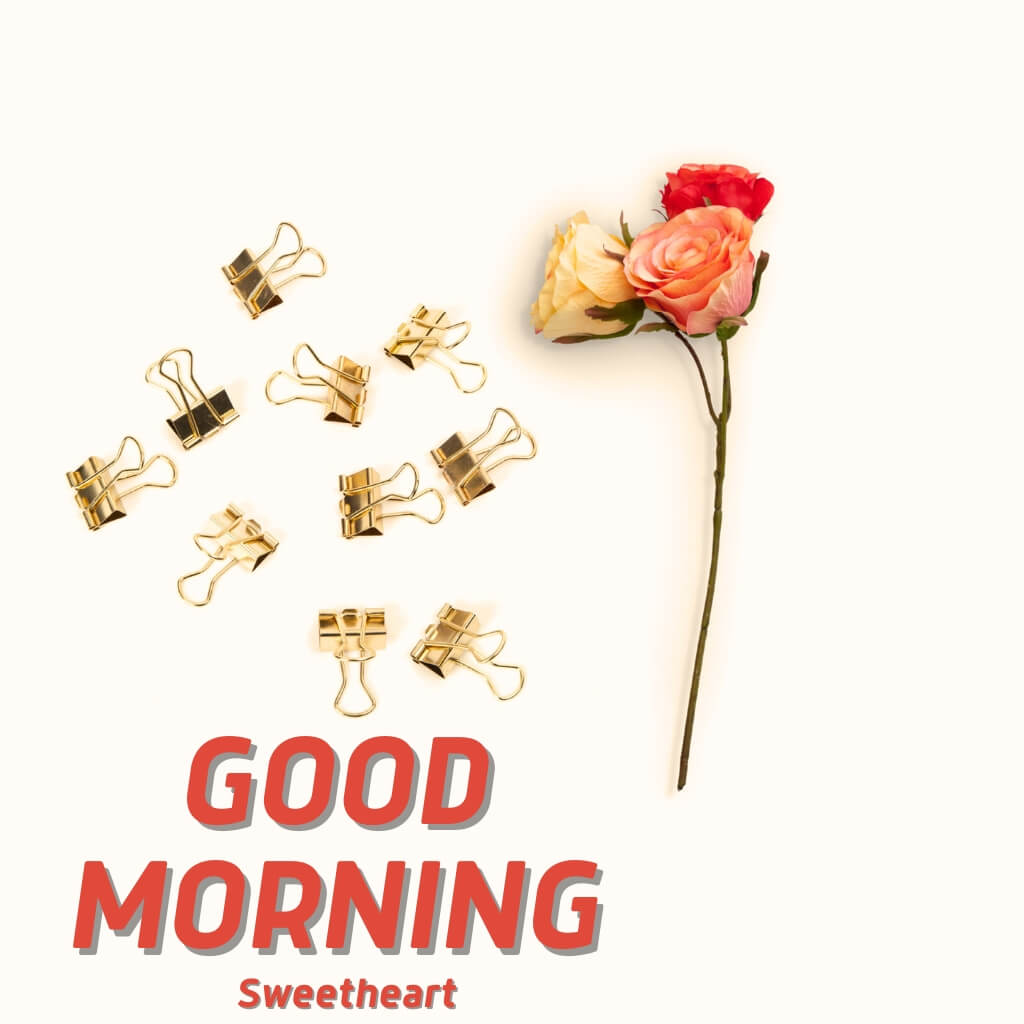 Beautiful Romantic Good Morning Images Pics New Download