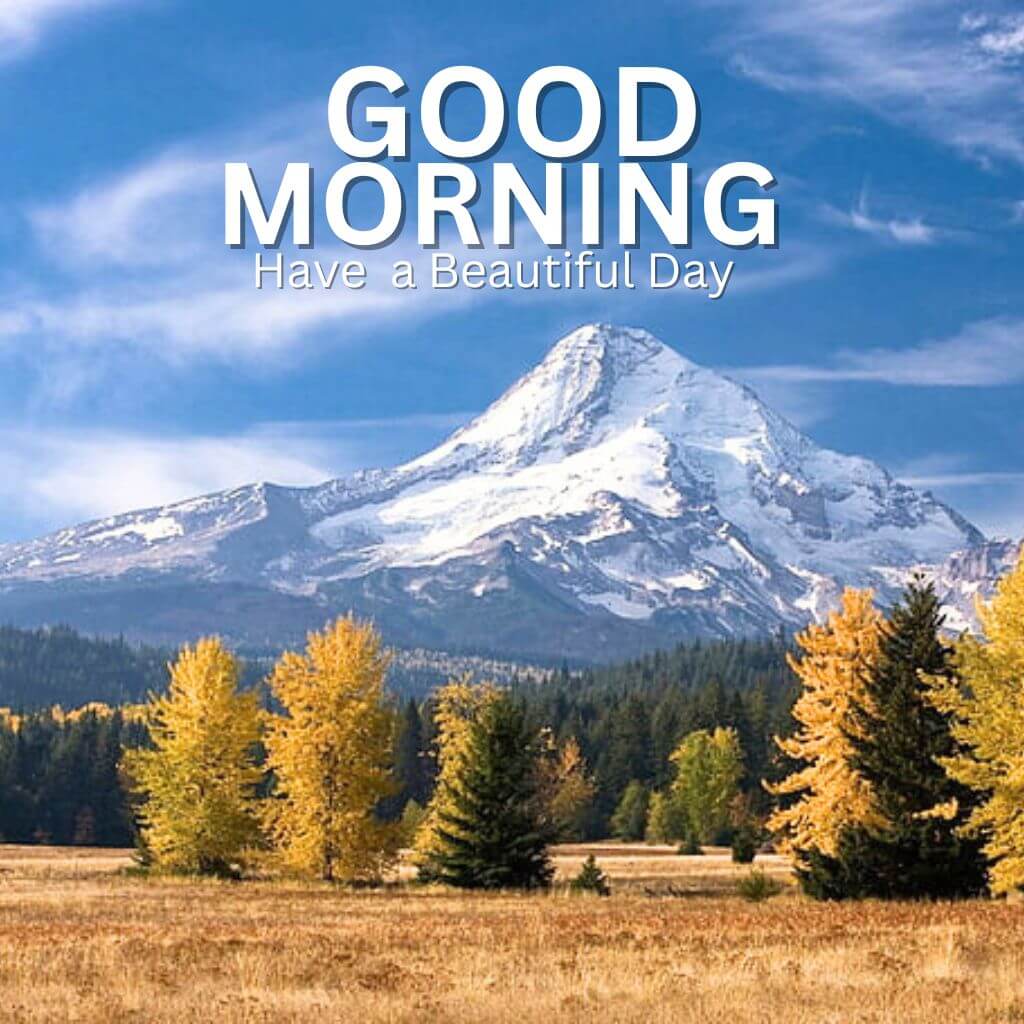 Best Good Morning Nature Images Download