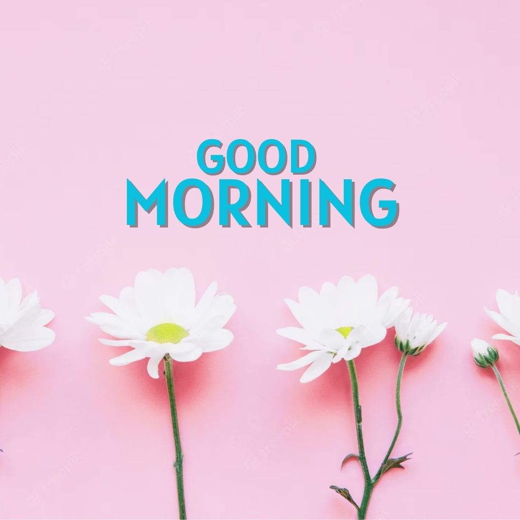 Best HD Full Size Good Morning Images Photo Download FREE