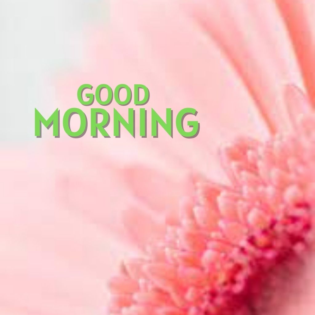 Best HD Good Morning Images Wallpaper Pics for Facebook