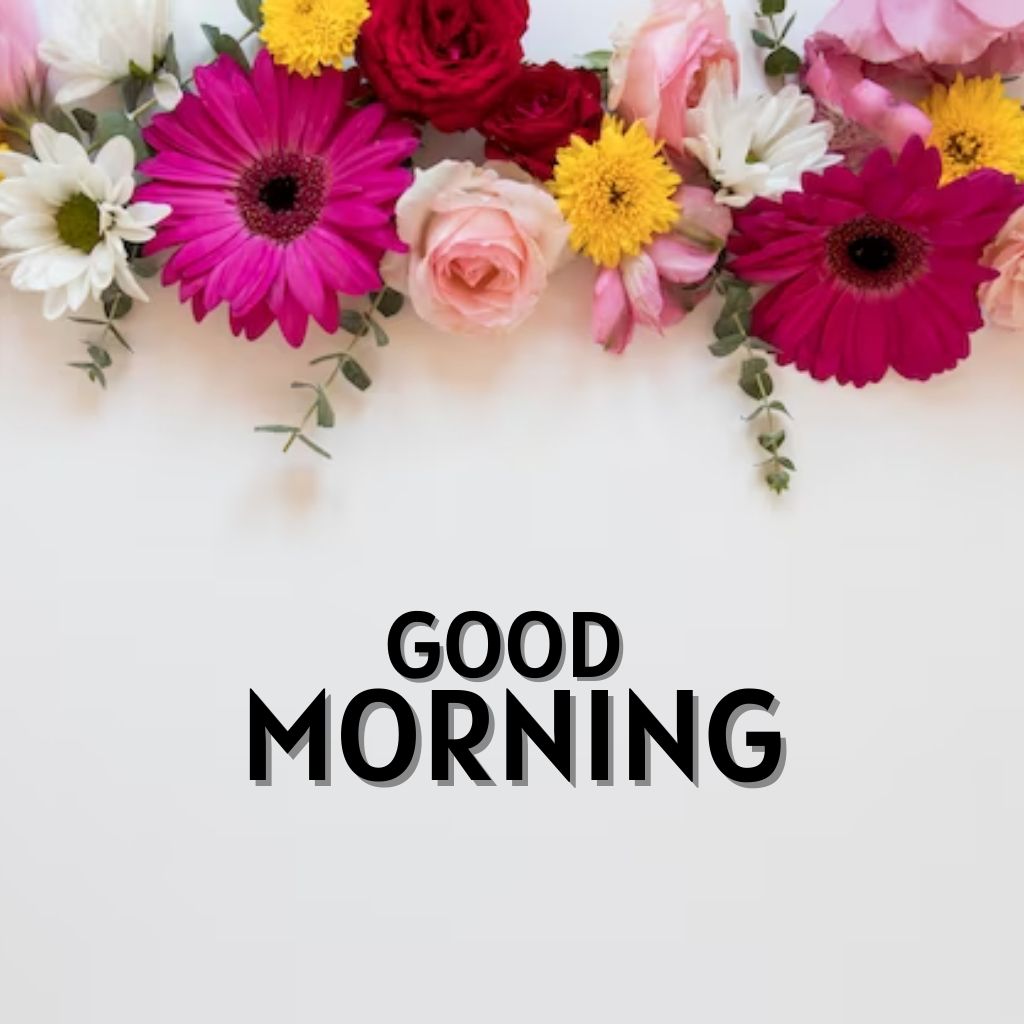 Best HD Good Morning Wallpaper Pics New Download Free 2023