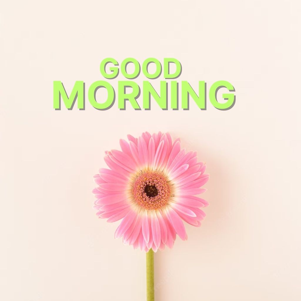Best HD Good Morning Wallpaper Pics New Download