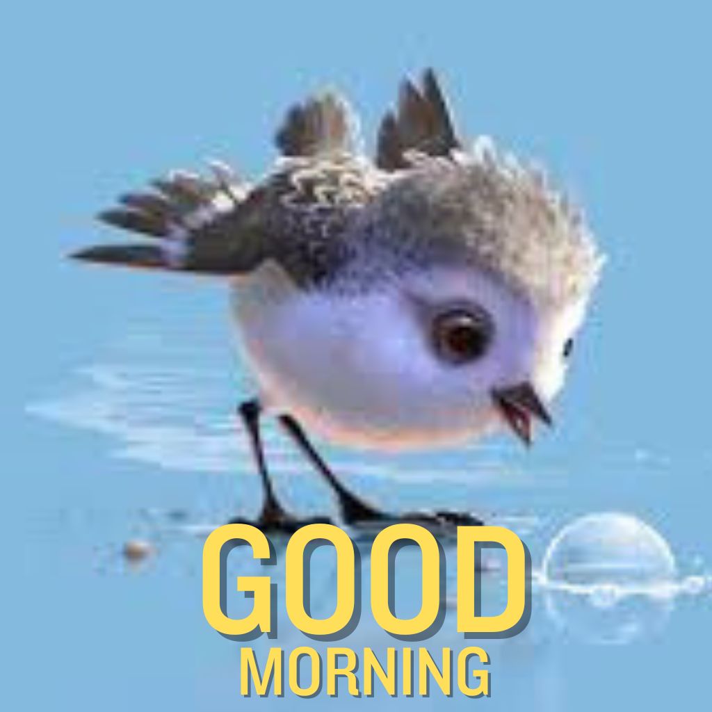 Best HD cute good morning Wallpaper Pics New Download