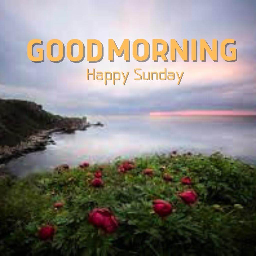 Best Quality Good Morning Sunday Pics Images Wallpaper new Download