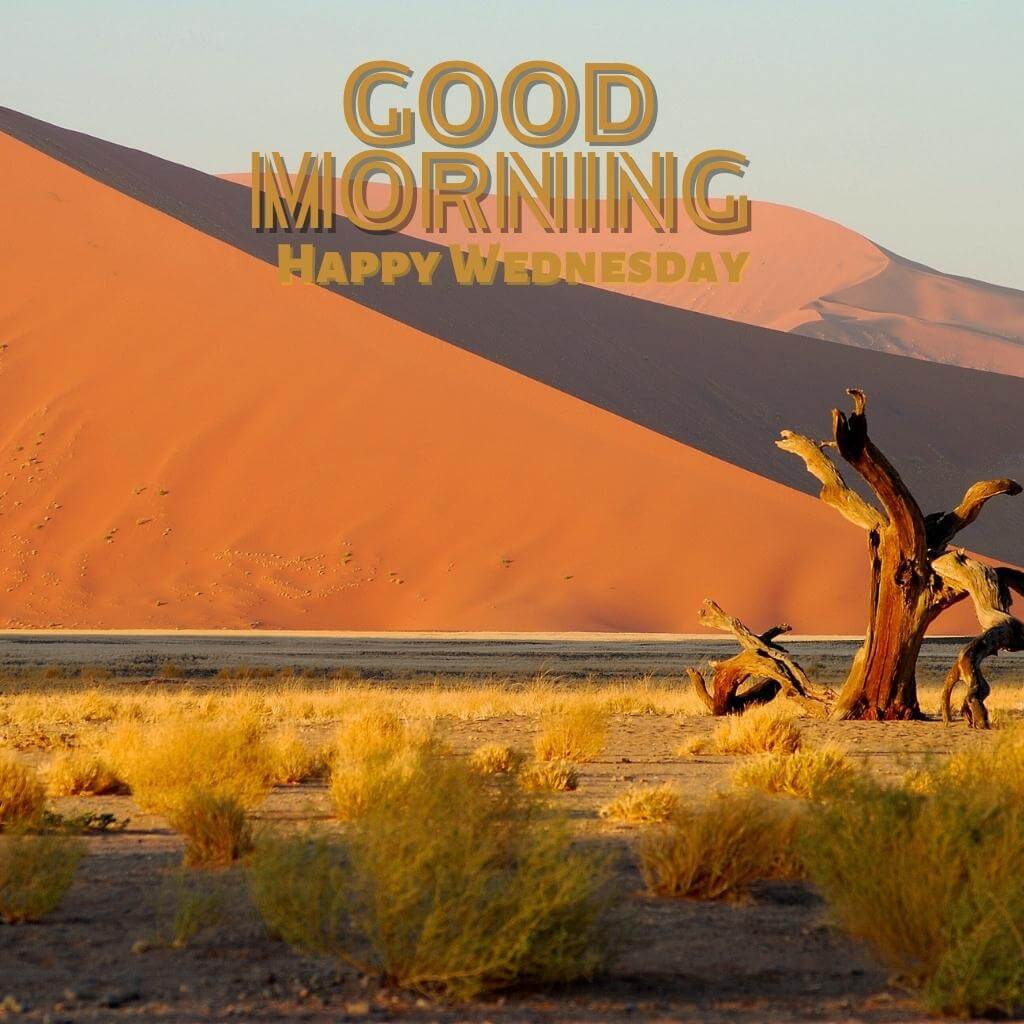 Download Free good morning wednesday Wallpaper for Facebook Whatsapp