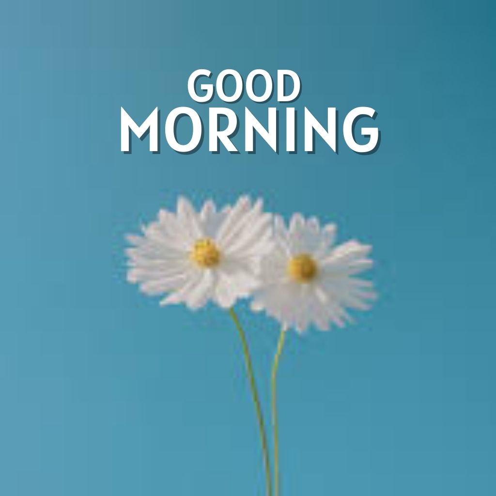 Download HD Good Morning Images pics New Download free