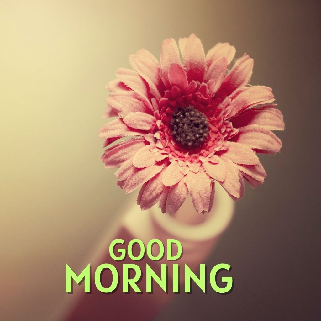 Free Best Good Morning Images Photo New Download