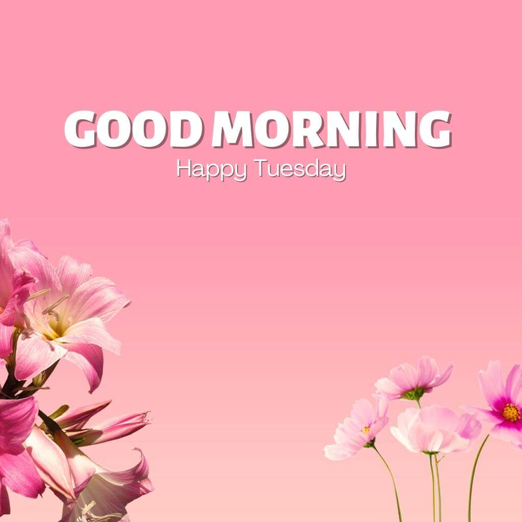 Free Best HD tuesday good morning Wallpaper Pics Download