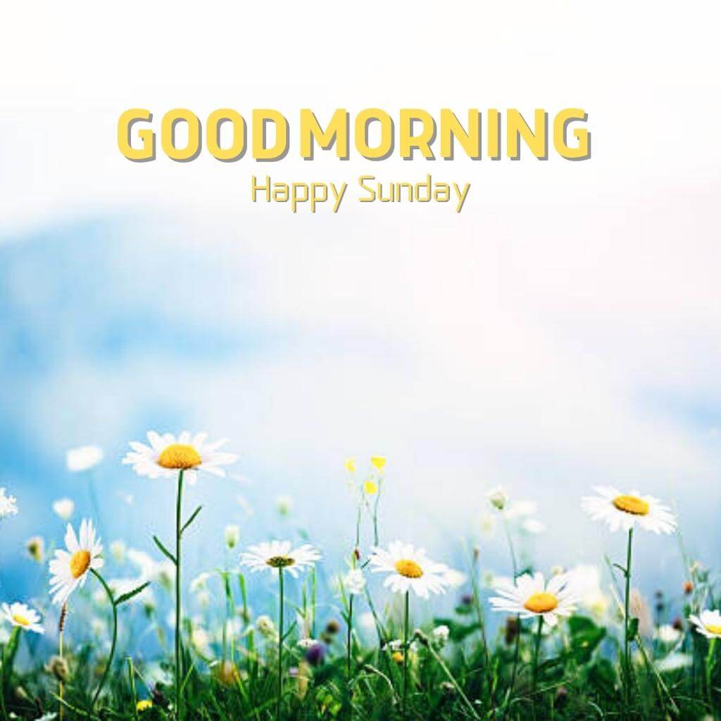Free Best Quality Good Morning Sunday Images Wallpaper 