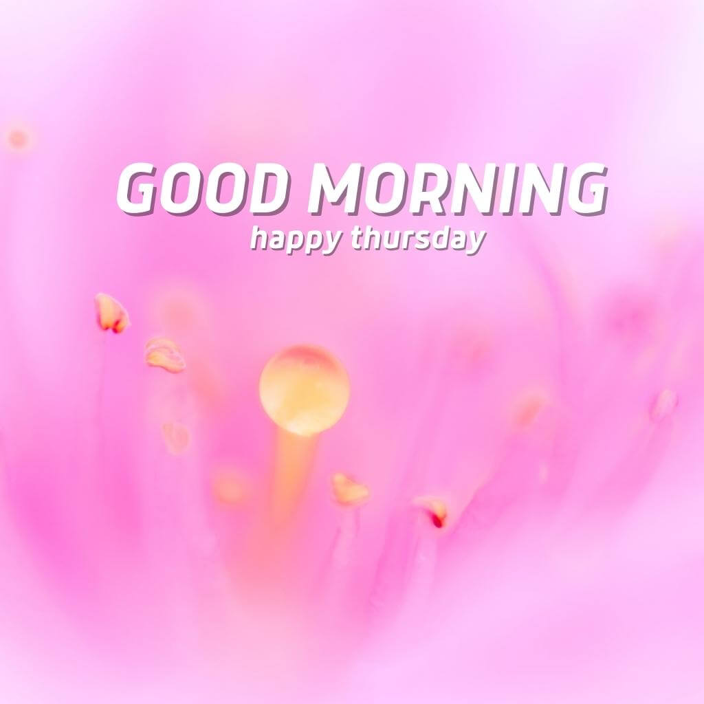 Free HD New good morning thursday images Wallpaper HD Download