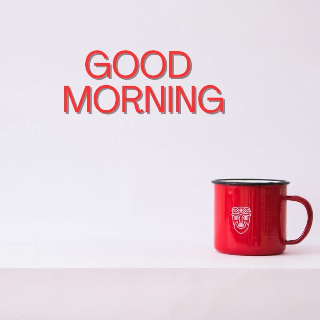 Free New good morning Images Wallpaper Pictures Download