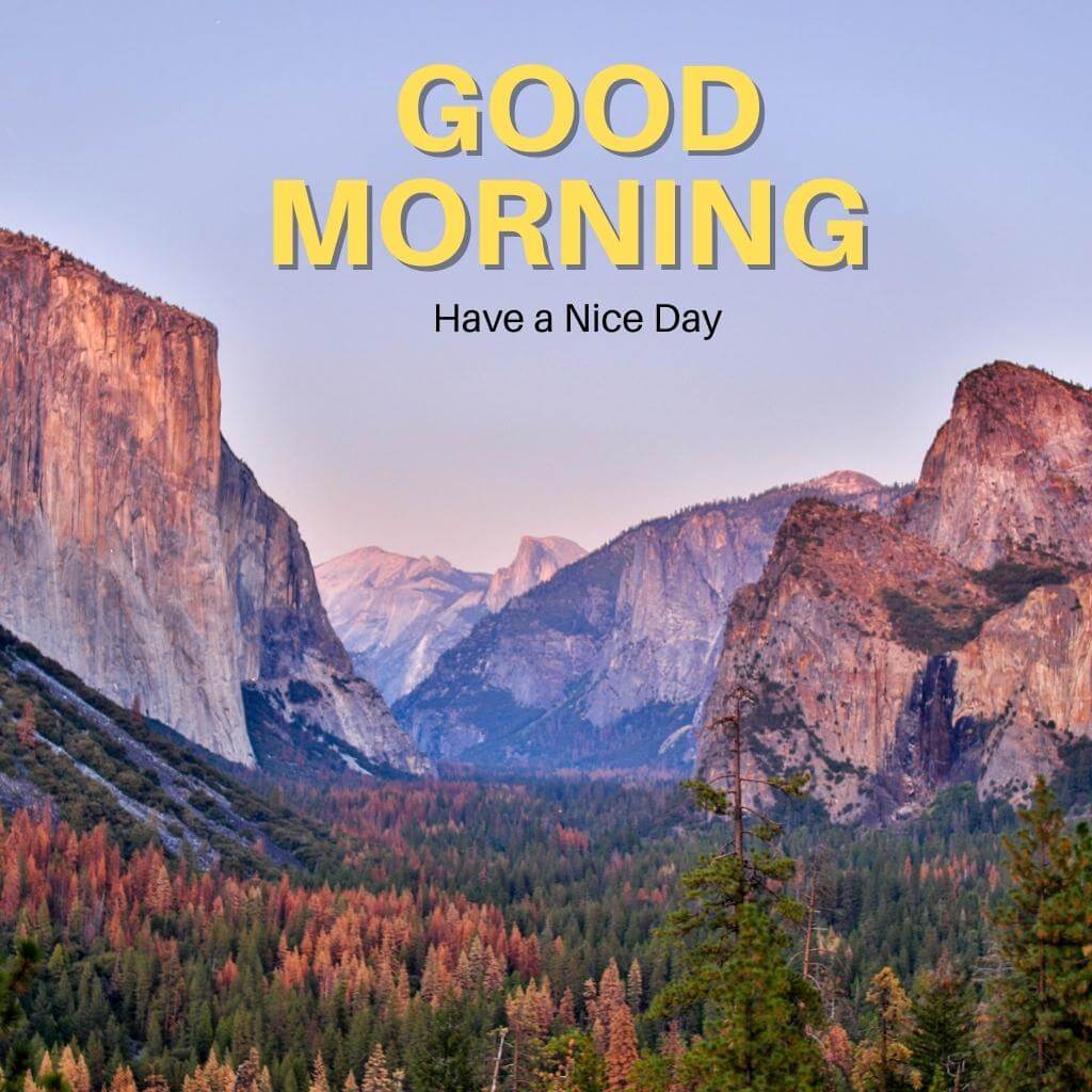 Free New special good morning Wallpaper Pics Download for Friend 