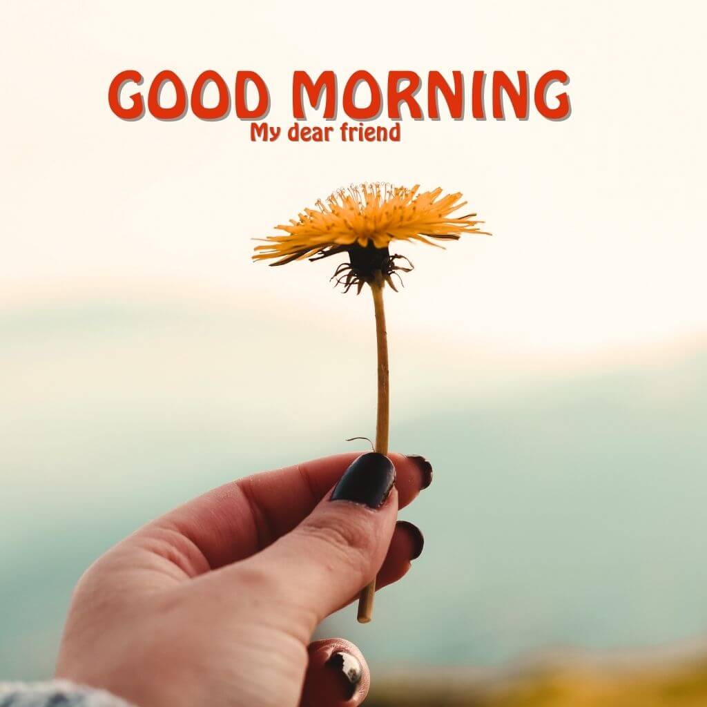 Free good morning Wallpaper Images Wallpaper Pictures Download