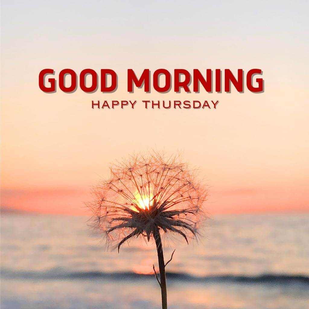 Free good morning thursday images pics New Download
