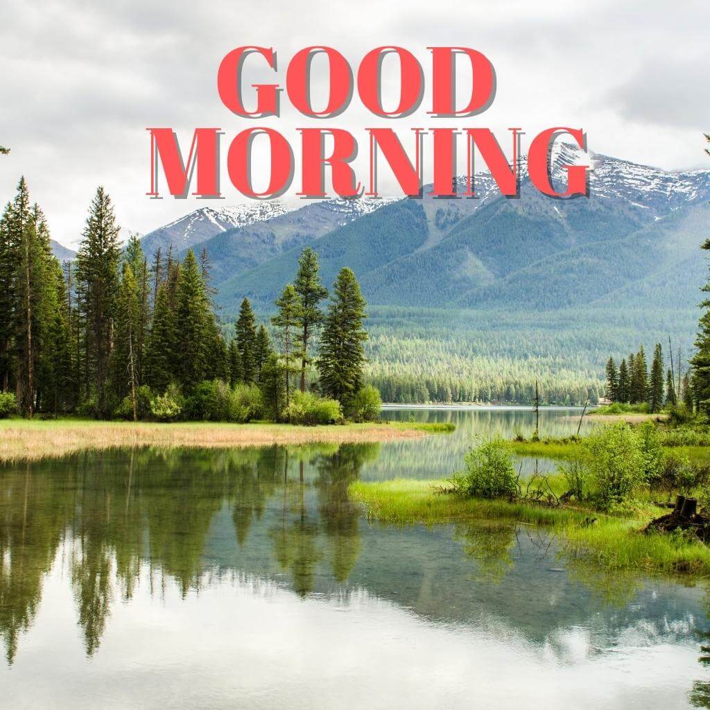 Friend Good Morning Wallpaper Pics new Download