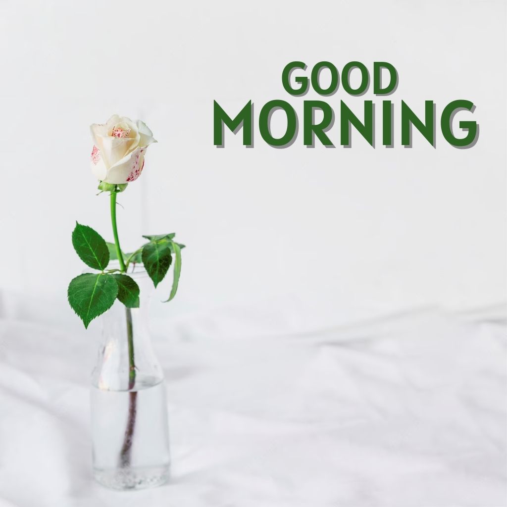 Full Size Good Morning Images Download