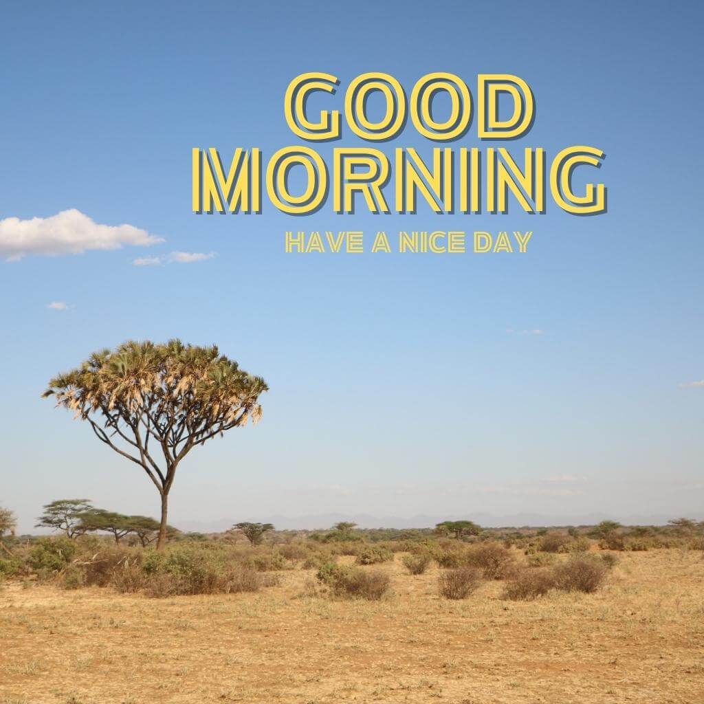 Full Size special good morning images Wallpaper Download for Whatsapp-Facebook