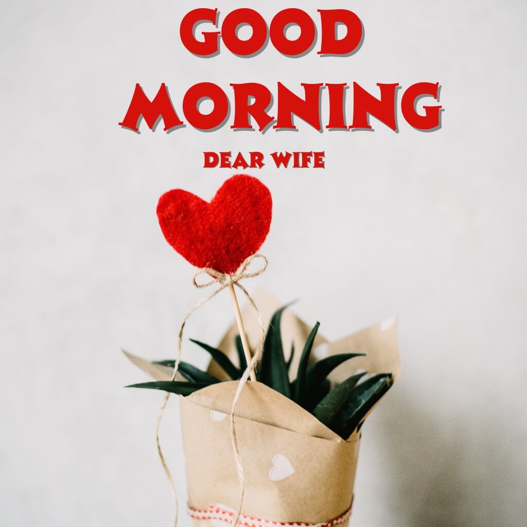 Good Morning Images Wallpaper for Wife 2