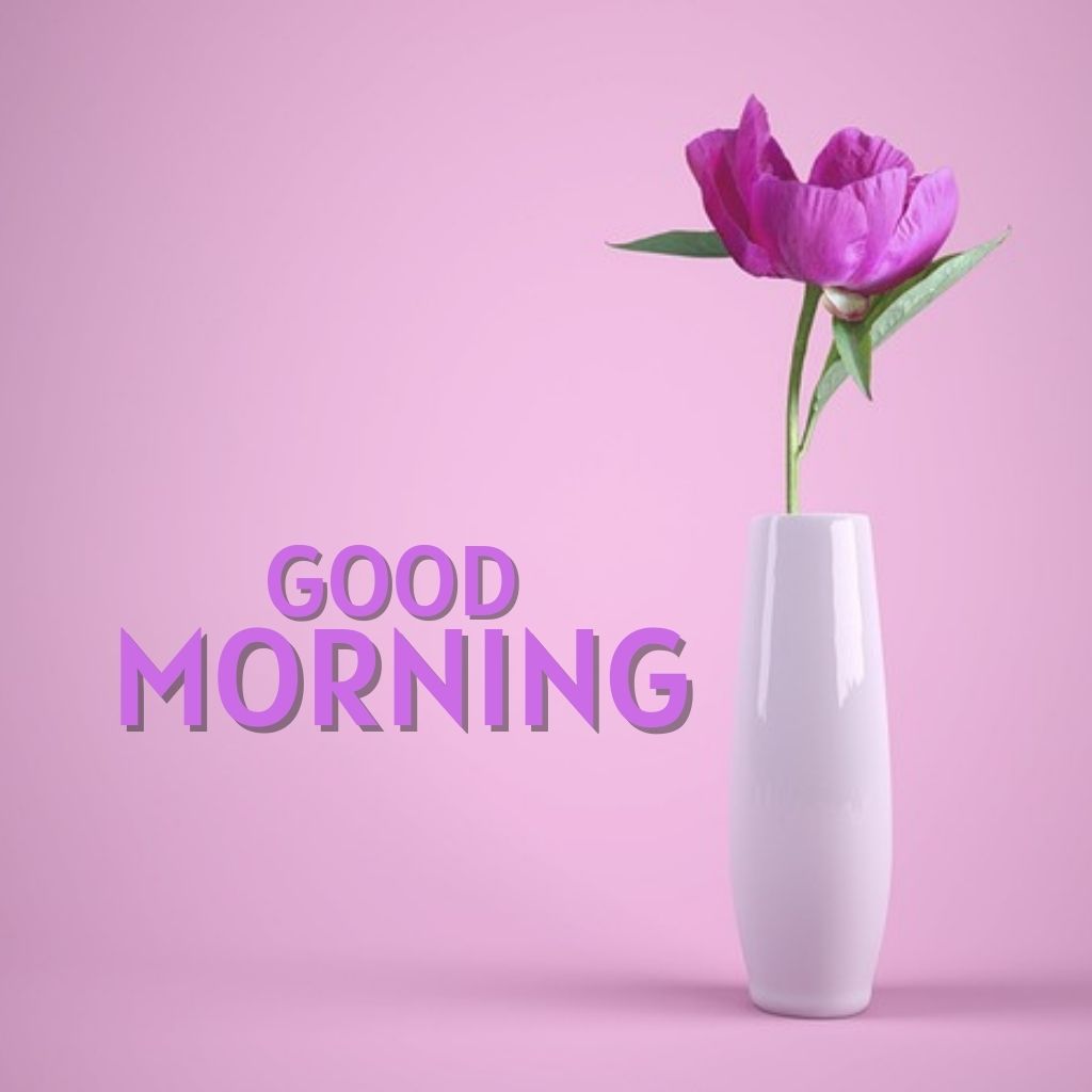 Good Morning Pic Images Wallpaper Download