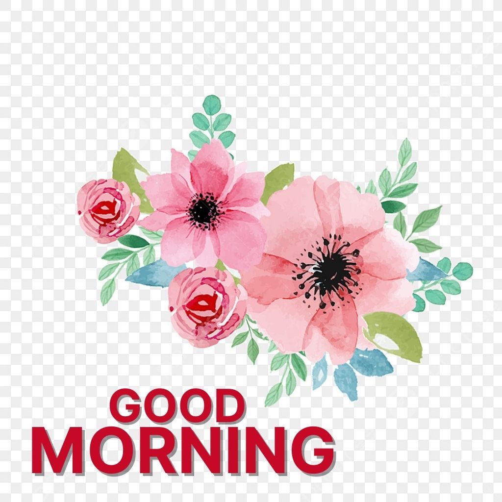 Good Morning Pics Wallpaper New Download Free For Friend