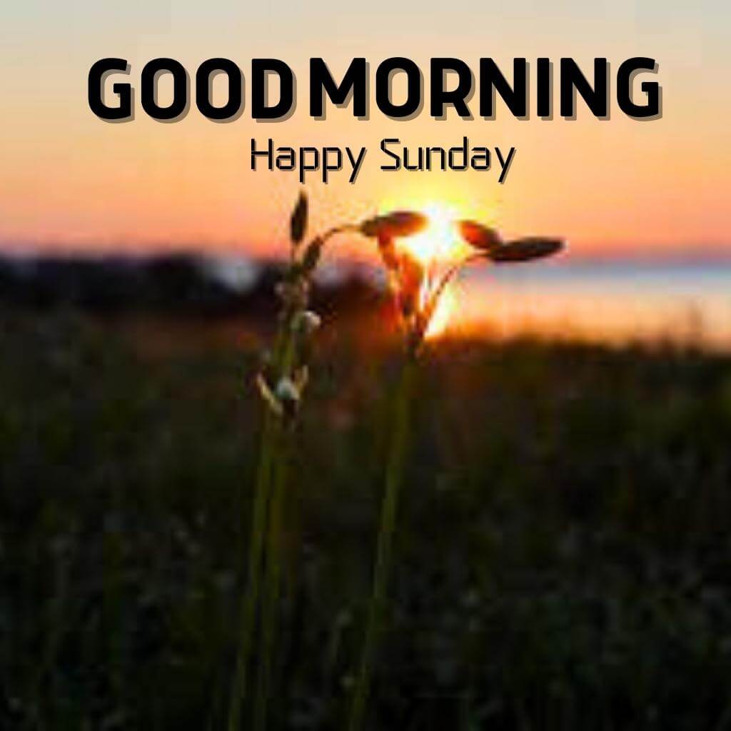 Good Morning Sunday Pics Pictures Download