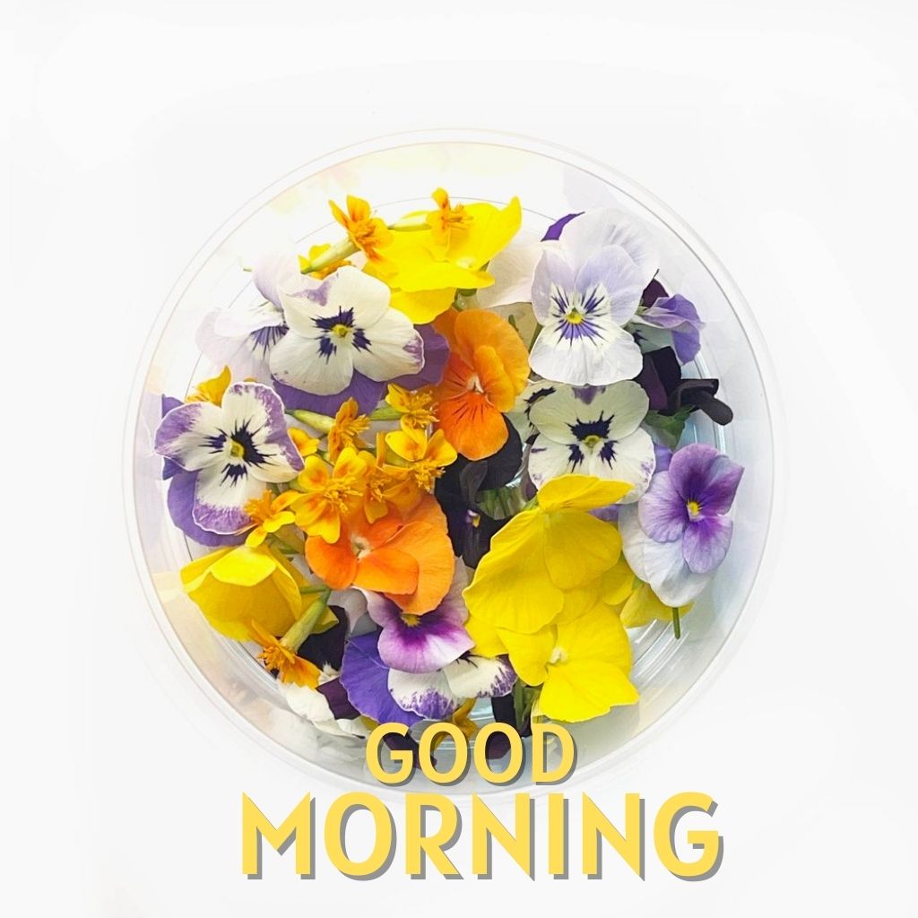 Good Morning Wallpaper Pics New Download (2)