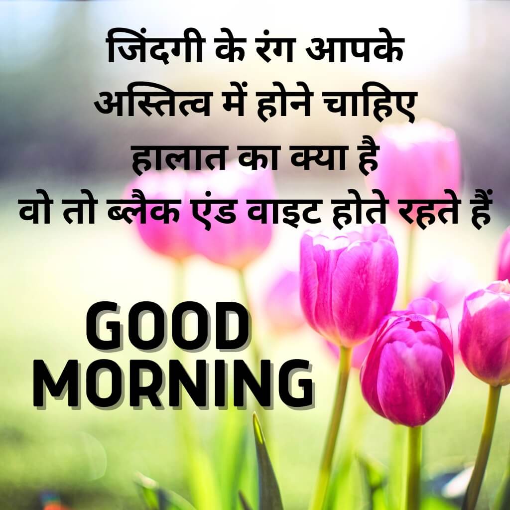Hindi Good Morning Wallpaper pics New Download 2023 Latest