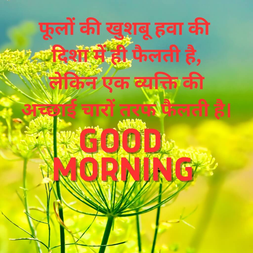 Hindi Good Morning pics New Download 2023