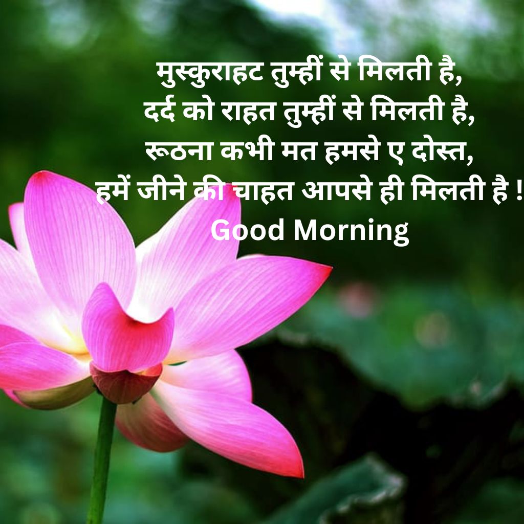 Hindi Quotes Good Morning Pics Images Download (3)