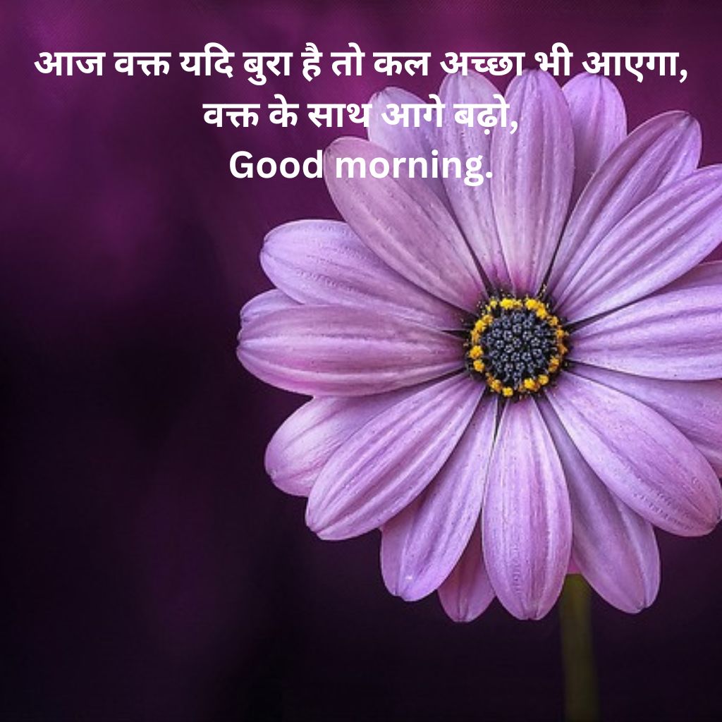 Hindi Quotes Good Morning Pics Images Download (4)