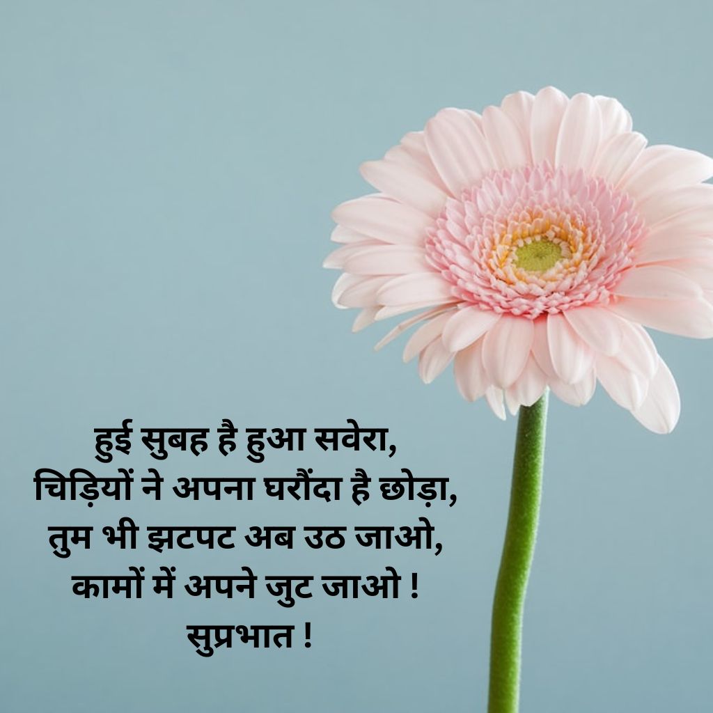 Hindi Quotes Good Morning Wallpaer Pics Download for Facebook