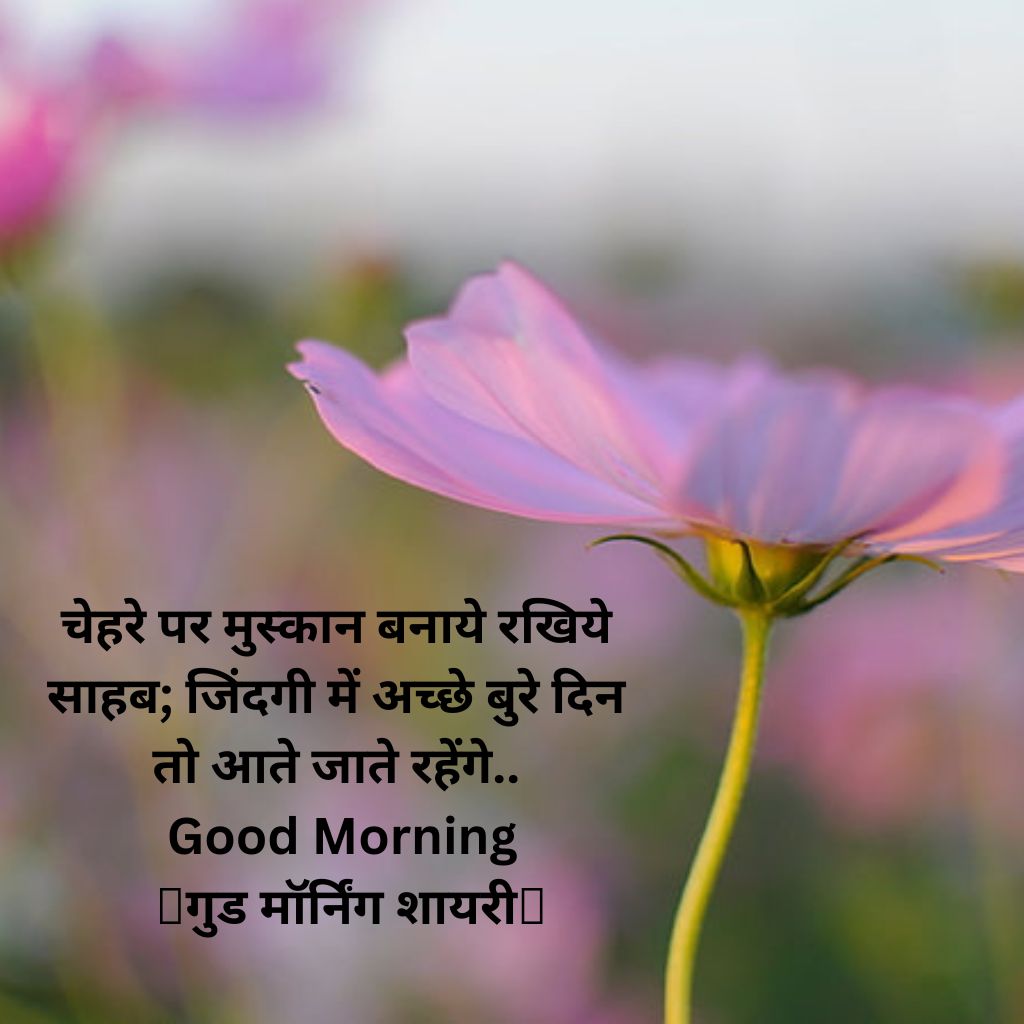 Hindi Quotes Good Morning Wallpaper Pics Free Download (2)