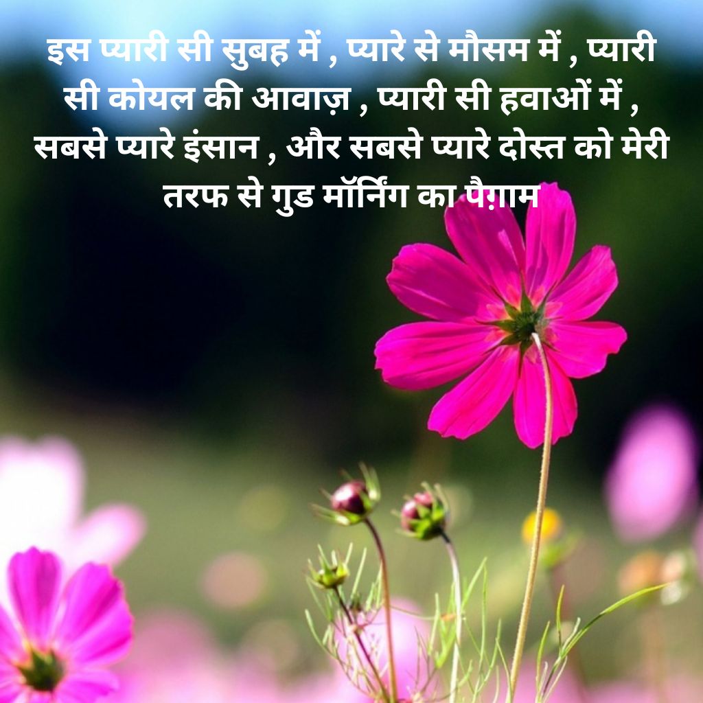 Hindi Quotes Good Morning Wallpaper pics New Download