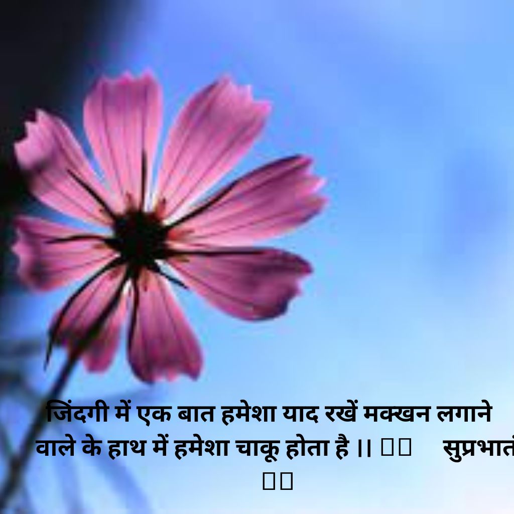 Hindi Quotes Good Morning photo HD Fee