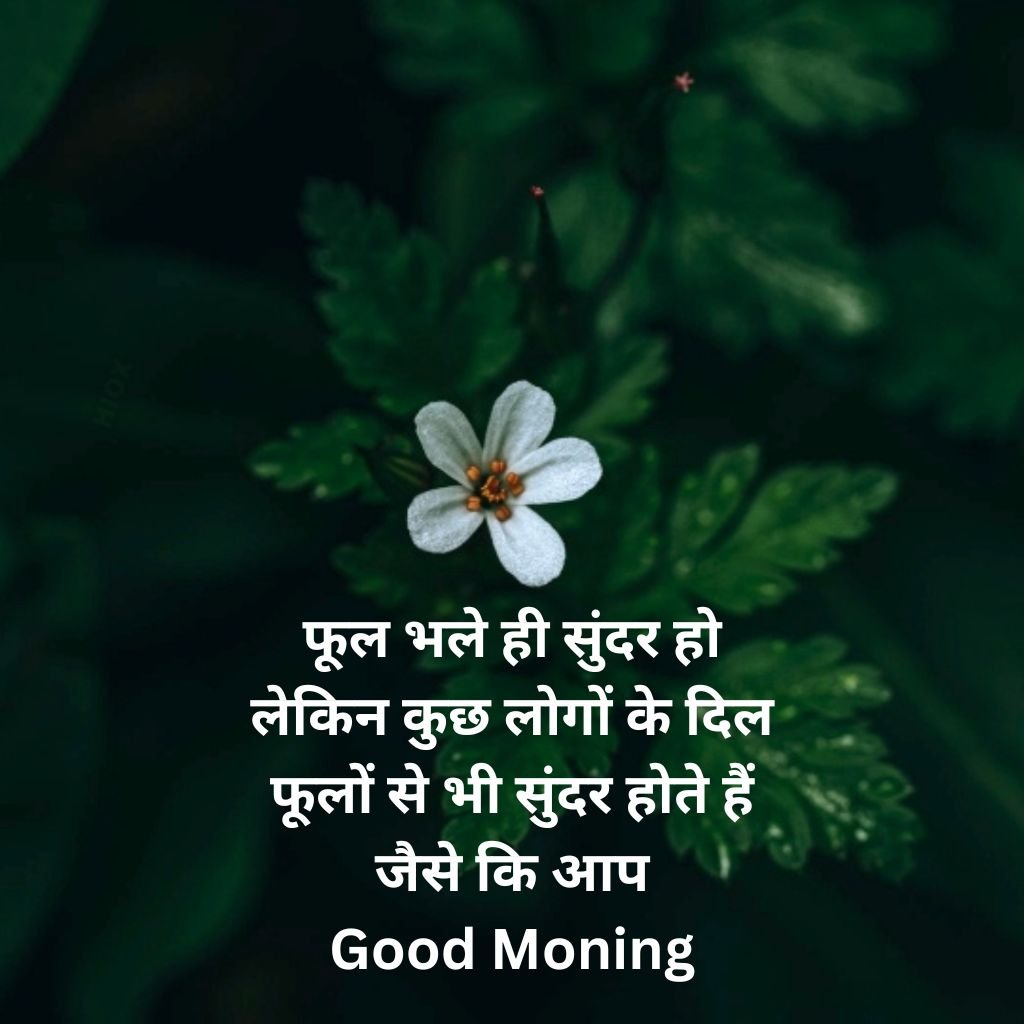 Hindi Quotes Good Morning pics Images Download (5)