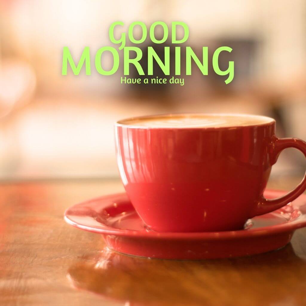 Latest Free HD good morning tea Pics new Download