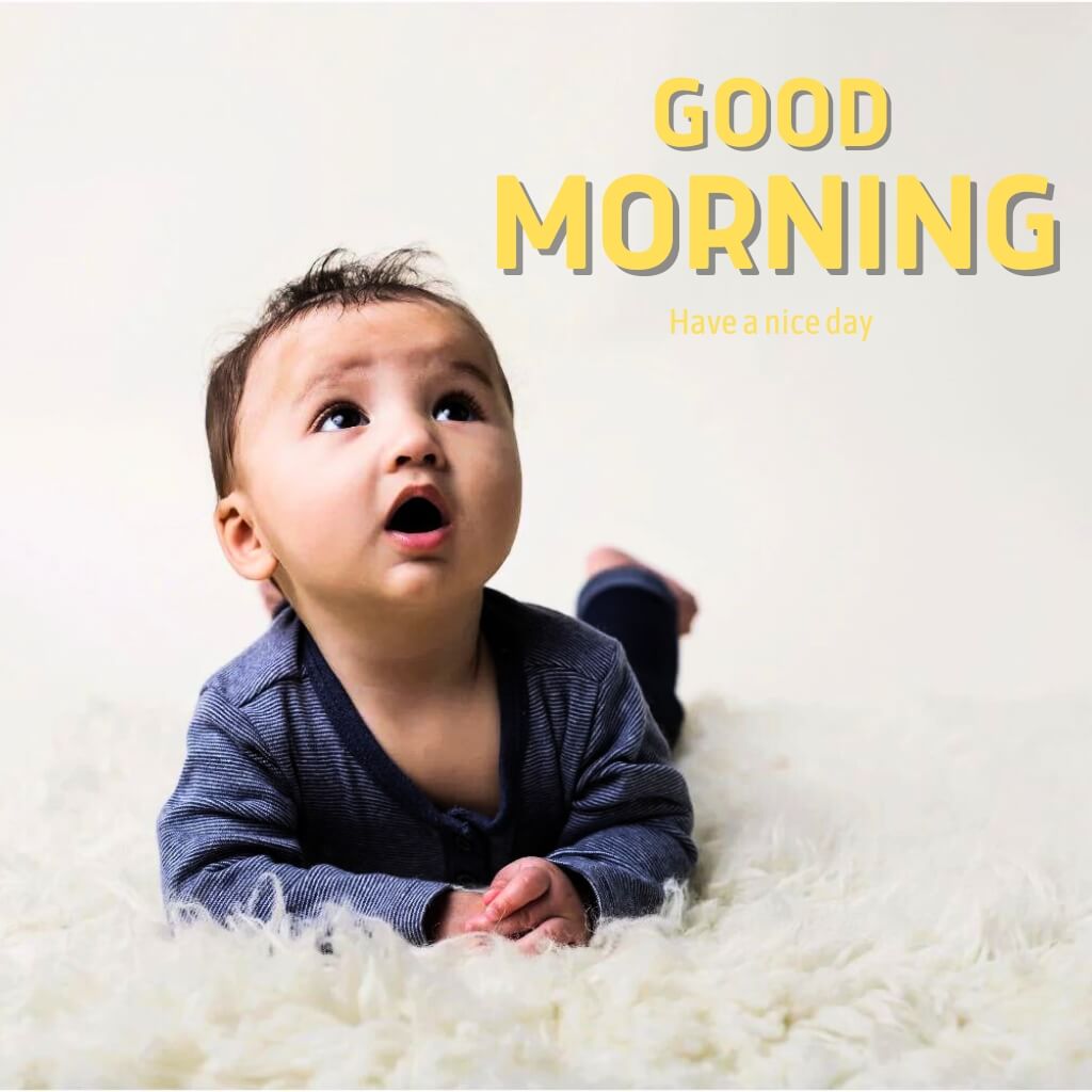 Latest New cute good morning Pics Wallpaper Free Download for Whatsapp