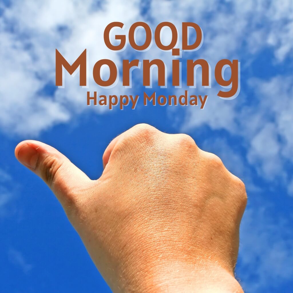 Monday Good Morning Wallpaper New Download 2023 for Friend HD