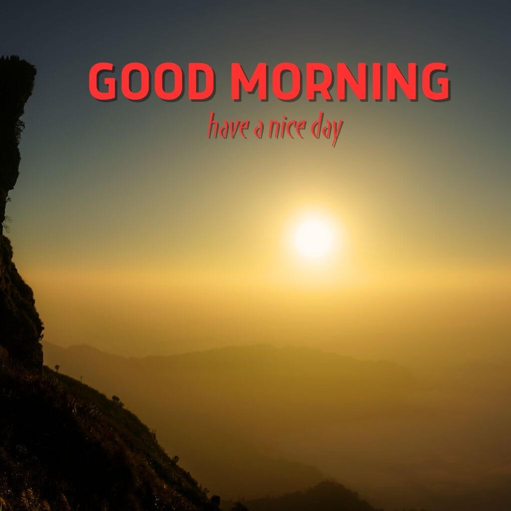 New Best good morning Images Wallpaper New Download