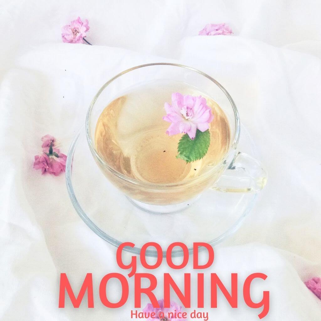 New Fresh good morning tea Images