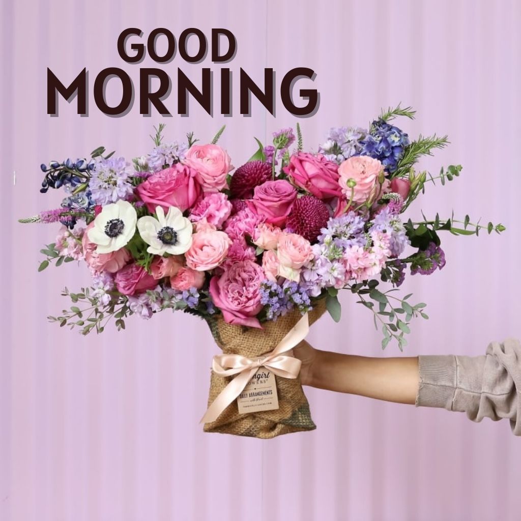 New HD Good Morning Images Download Free for Facebook