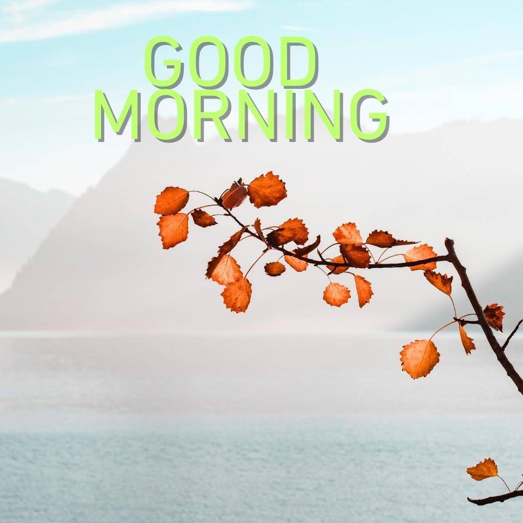 New HD good morning Wallpaper Pics Download for Facebook
