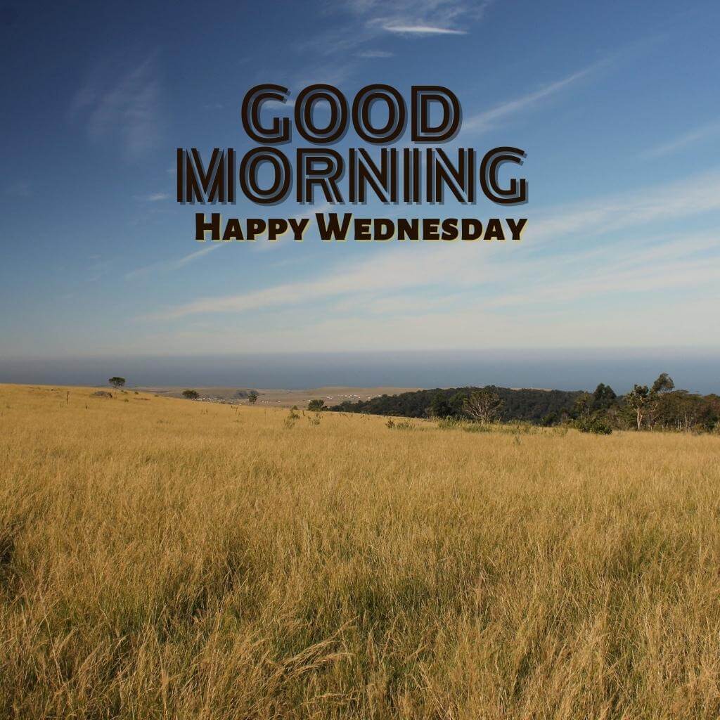 New HD good morning wednesday Photo Download Free 2023
