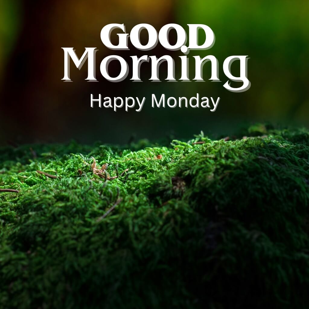New Monday Good Morning Pics new Download for facebook